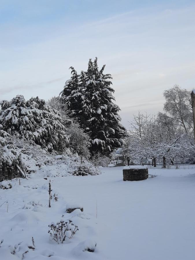 La Grange Aux Dames Bed and Breakfast Geville Buitenkant foto
